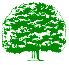 Geoffs Oak