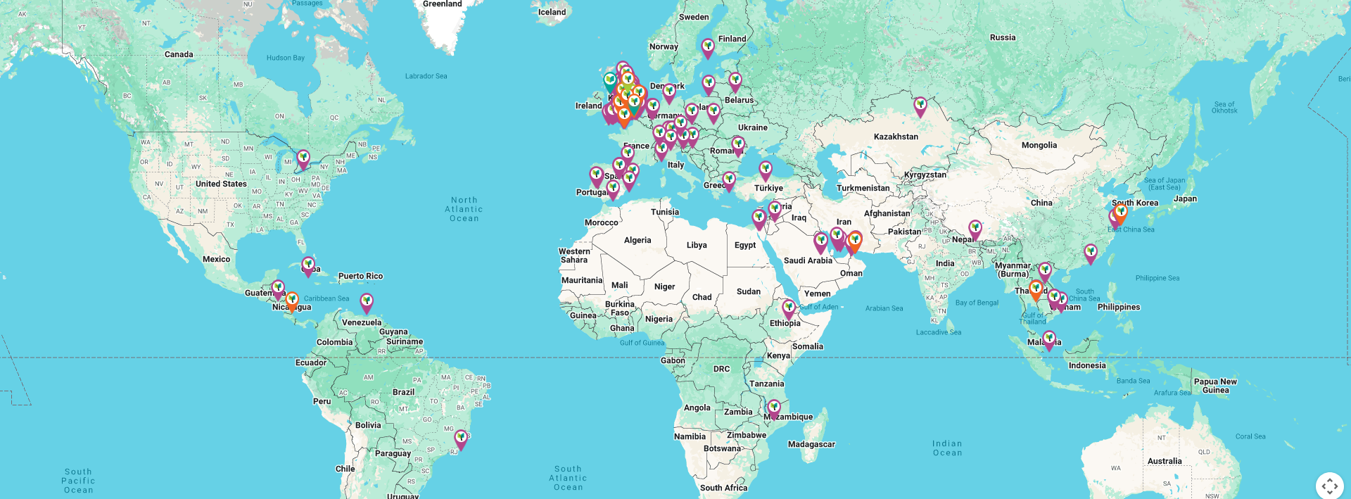 Network Map