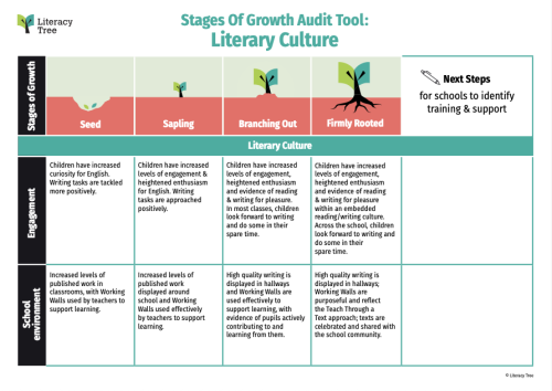 Stages of Growth Audit Tool